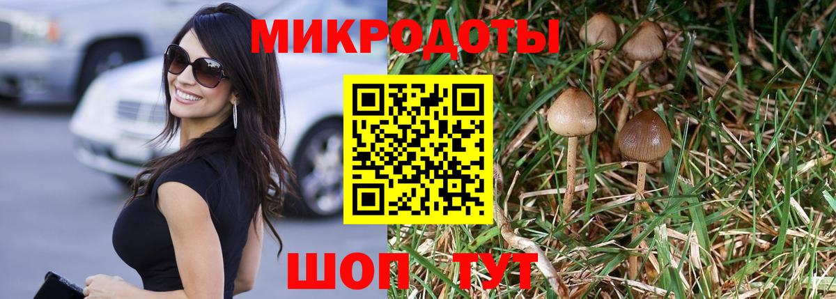 Псилоцибиновые грибы Psilocybe  Вход с VPN  Добрянка  Галлюциногенные грибы Psilocybe 